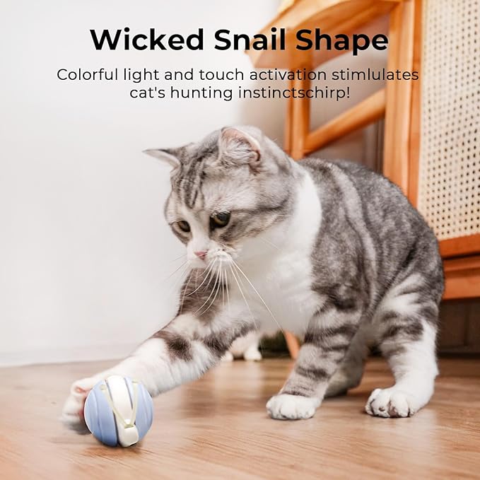 Cheerble Interactive Cat Toy for Indoor Cats, Wicked Snail Kitten Toys, Automatic Cat Toys with LED Lights, Rechargeable Moving Toys for Cats, Smart Stimulating Electric Pet Toy(Blue)