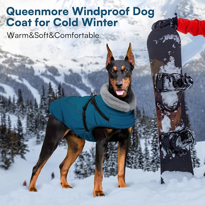 Queenmore Dog Coat with Harness Built in,Dog Winter Jackets for Large Dogs Boys Girls,Waterproof Dogs Snowsuits with Zipper On Back,Warm Fleece Lining Cold Weather Coats with Furry Collar,Blue,XL