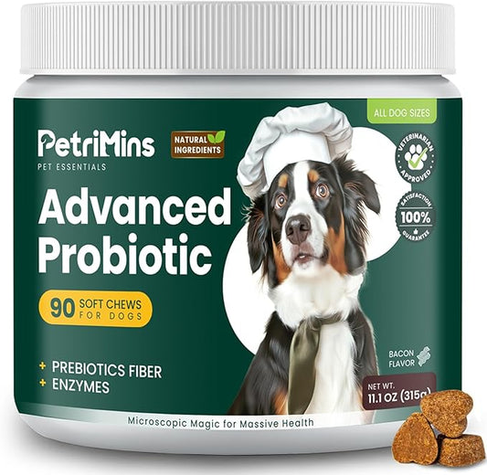 Advanced Probiotic for Dogs, Supports Digestive Health, Immune Health, Gut Health, Improves Nutrient Absorption - Six Strains of Probiotics - Inulin - Enzyme Blend, 90-Count, Bacon