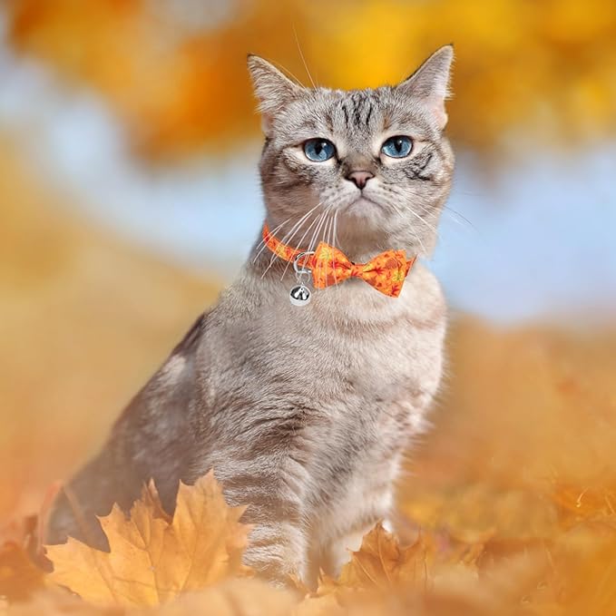 SCENEREAL Fall Cat Collar Breakaway, 3 Pack Kitten Collars with Bell, Bowtie and Safety Buckle - Adjustable Cute Holiday Thanksgiviing Cat Collars with Turkey and Pumpkin Pattern for Girl Boy