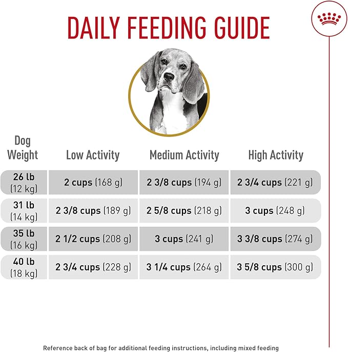 Royal Canin Beagle Adult Dry Dog Food, 6 lb bag