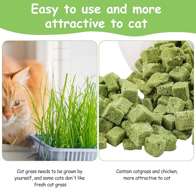 HavenJanny 120g Cat Grass Treats for Indoor Cats, Freezed Dried Cat Grass Teething Stick Snacks for Cats, Edible Feline Chew Toys for Hairball Control and Oral Health