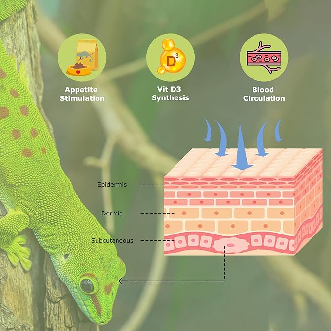 UVB 5.0 Reptile Light 13W, Tropical Terrarium Compact Fluorescent Lamp, Coil UVA-UVB Bulbs for Chameleons, Lizard, Turtle,Ideal Lighting for Small Reptile Tanks, Amphibians Terrarium Habitat