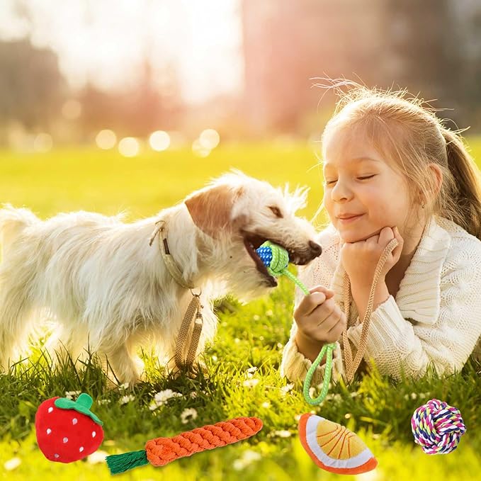 Puppy Chew Toys for Teething, Dog Toys 18 Pack Puppy Essentials Chew Toy Bundle with Squeaky Toys and Interactive Rope Toys for Small Dogs, Stuffed Plush Toys for Puppies to Keep Them Busy