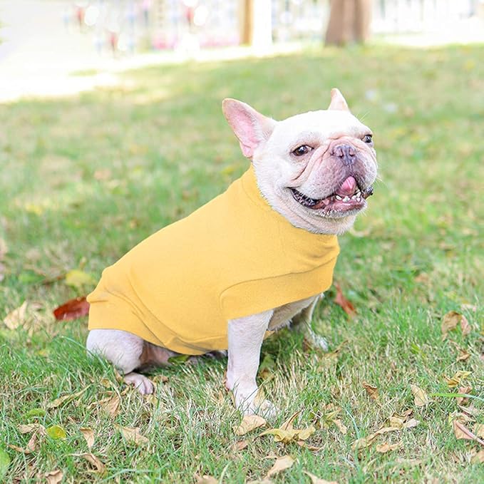 Small Dogs Fleece Dog Sweatshirt - Cold Weather Hoodies Spring Soft Vest Thickening Warm Cat Sweater Puppy Clothes Sweater Winter Sweatshirt Pet Pajamas for Small Dog Cat Puppy (Medium, Yellow)