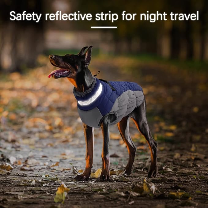 Winter Dog Coat,Large Dog Jacket,Waterproof Pet Jacket with Back Zipper,Pet Coat with Harness Built in,Warm Dogs Coat with Fleece Lined, Snow Jacket Clothes French Bulldog Shiba Inu,Blue,L