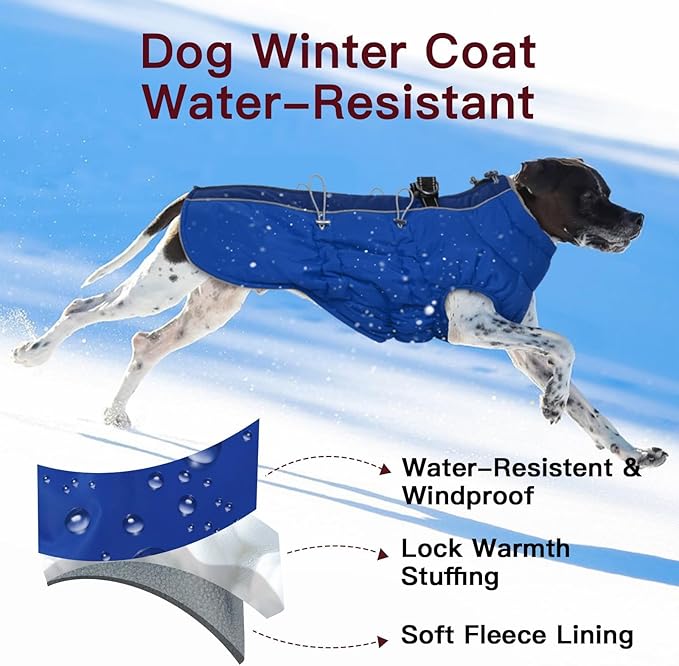 Dog Winter Jacket - Large, Warm Zip Up Snowsuit Dog Harness Vest, Reflective, Water-Resistant, Royal-Blue