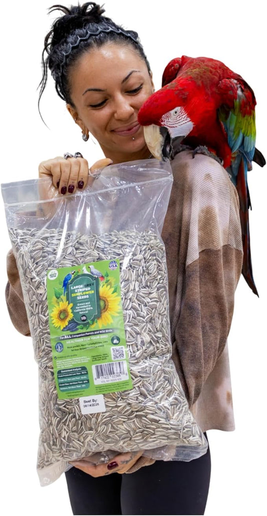 5 Lb Bag | Premium Striped Sunflower Seeds for Birds - Natural Sunflower Seeds Bird Food | Non-GMO, Feeder-Ready & Plantable