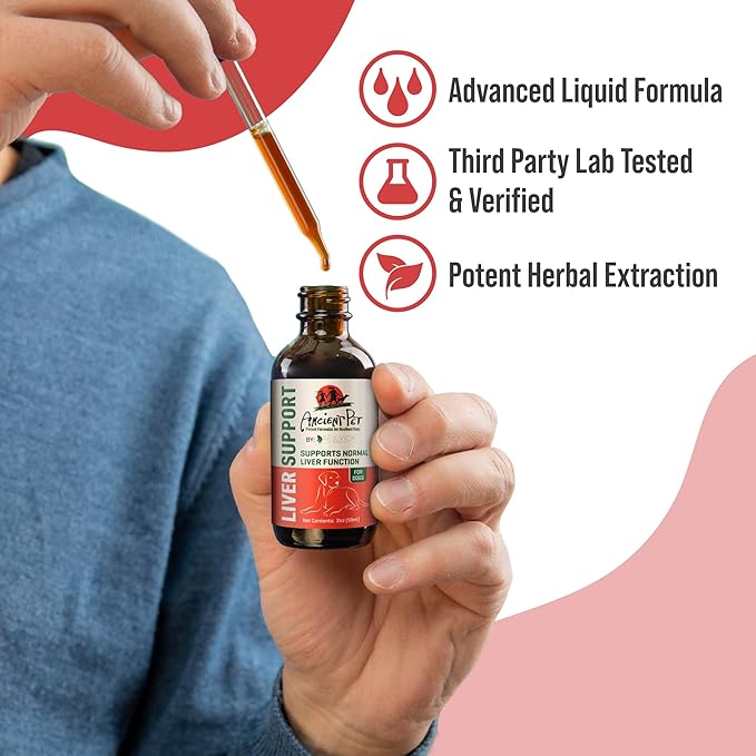 Ancient Pet Liver - Advanced Liver Support Supplement for Dogs - Liquid Delivery for Better Absorption - Milk Thistle, Dandelion, Artichoke & More!