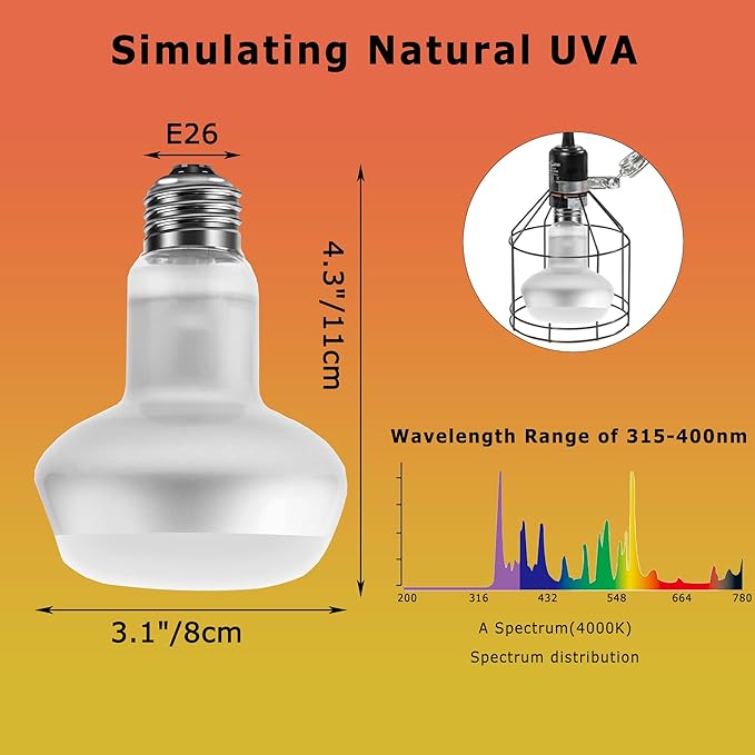 60W Intense Basking Spot Lamp – UVA Daylight Heat Bulb for Reptiles and Amphibians, Simulates Natural Sunrise and Sunset, Ideal for Bearded Dragons, Snakes, Lizards & Chicks | 2 Pack