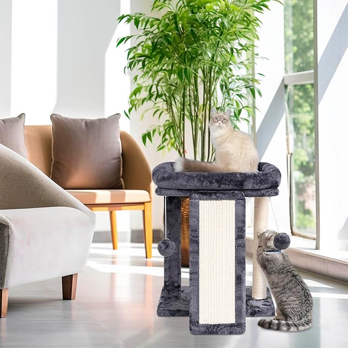 SYANDLVY Small Cat Tree with Perch, Cat Scratching Board for Indoor Cats, Scratching Post with 2 Dangling Balls, Great for Kittens (Smoky Grey)