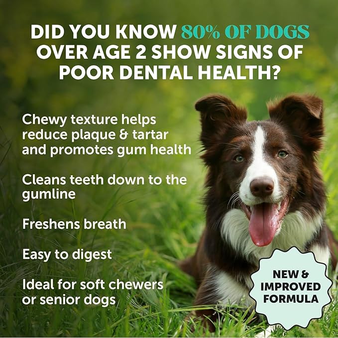 Dental Health Fresh Sticks - Oral Hygiene Dental Treat for Dogs - Dental Dog Chews - Freshen Dog Breath, Reduce Plaque + Tartar - 16 Sticks