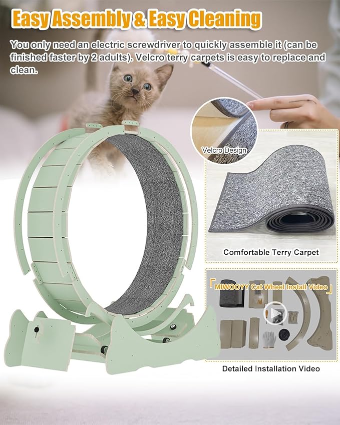 Large Cat Exercise Wheel 43 Inch - Mint Green Solid Wood Exerciser for Indoor Cats, Safety Treadmill with Lock & Minimized Gap Design