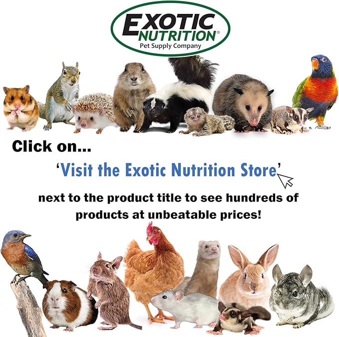 Exotic Nutrition Economy Carry Bonding Pouch (Blue) - for Sugar Gliders, Squirrels, Marmosets, Hamsters, Rodents, Rats, Reptiles, & Other Small Pets