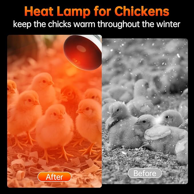 LUCKY HERP Heat Lamp for Chickens, 250 Watt Red Heat Lamp Bulbs, Infrared Heat Lamp for Chickens, Chicks, Reptile, Pets, Brooder Coop, Poultry (1 Pack)