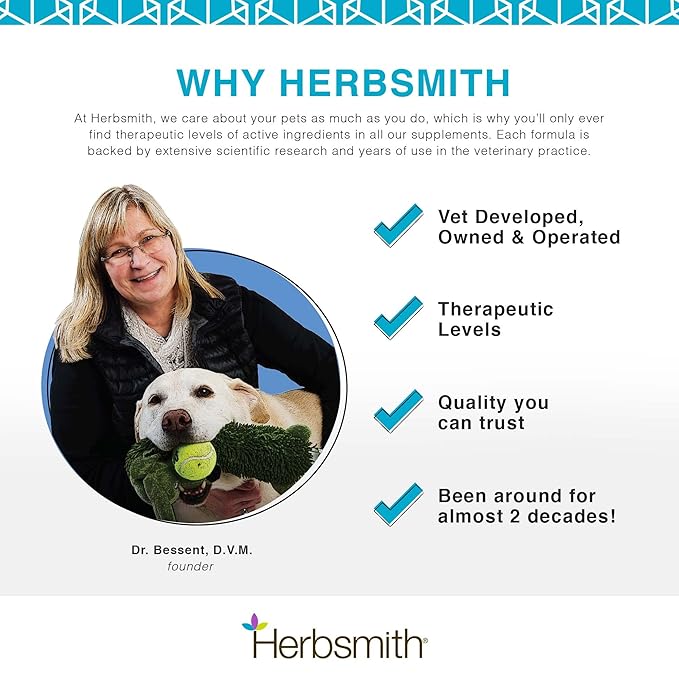 Herbsmith Dog Breath - Dog Dental Care Solution - Natural Dog Breath Freshener That Tackles Tartar - Dental Powder for Dogs - 75g Powder