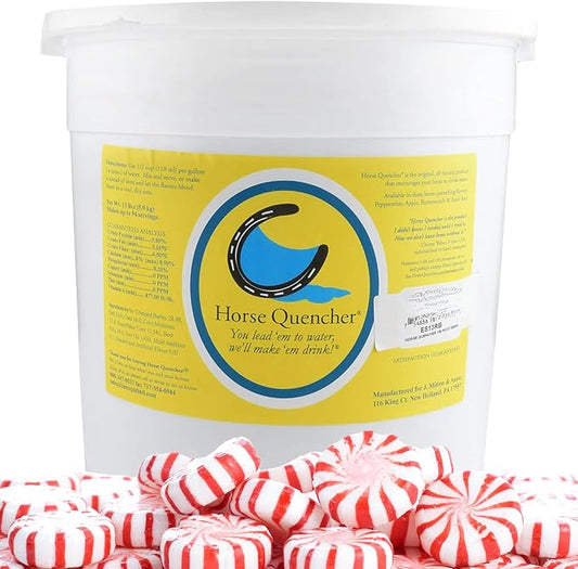 Horse Quencher Flavored Horse Hydration Supplement, Thirst Quencher for Horses, 13 lbs Pail, All-Natural Grains for Equestrians and Horse Owners, Aids in Preventing Health Issues