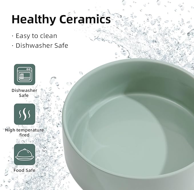 Ceramic 6.1inch Raised Dog Bowl with Stand for Small and Medium Dog Dish Pet Food and Water Bowl (Single Bowl with Stand - Light Green)