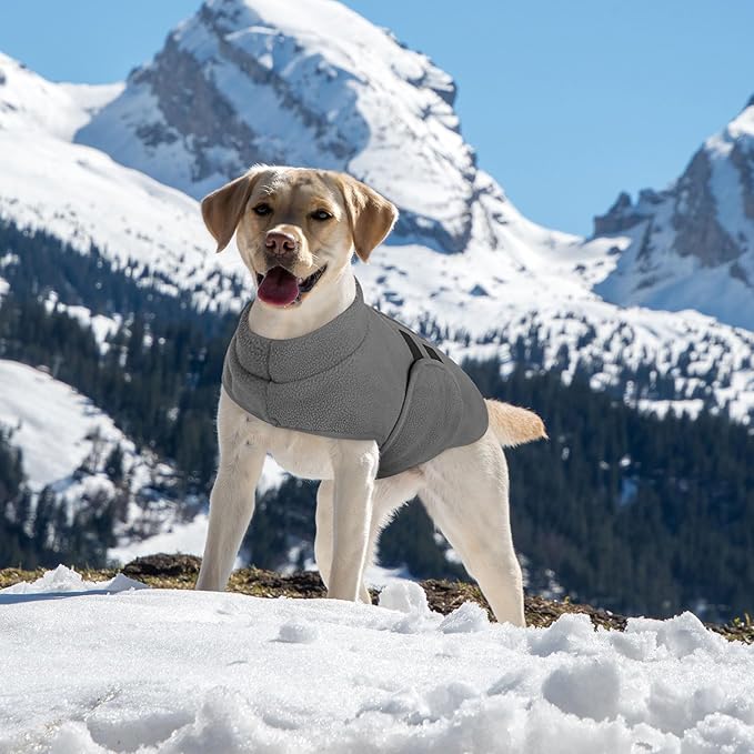 Queenmore Medium Dog Sweaters, Soft Fleece Vest Pullover Dog Jacket with Leash Hole, Warm Winter Dogs Clothes Cold Weather Doggy Dachshund Sweater for Medium Dogs Cats Boy or Girl (Grey,M)