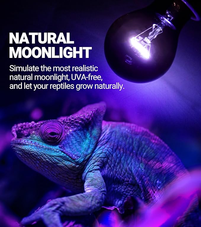 REPTI ZOO 75W Reptile Heat Lamp 2Pack Reptile Night Heat Bulb Night Heat Lamp Without UVA for Turtle Bearded Dragon Gecko Lizard and Snake E26/E27 Purple