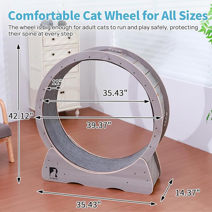 43 Inch Large Cat Exercise Wheel for Indoor Cats, Silent Treadmill, Non-Tip Design, Safe & Quiet Cat Running Wheel, Easy to Assemble, Supports Cats Up to 55 lbs (Grey)