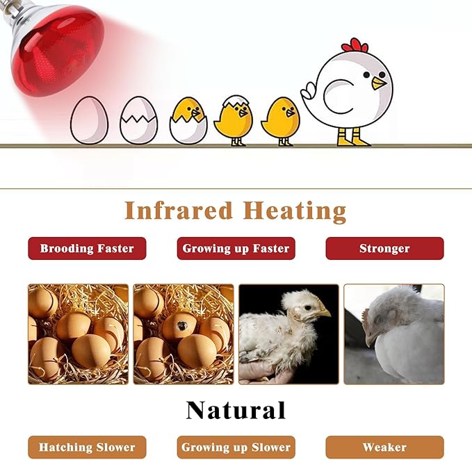250W Red Heat Lamp Bulbs for Chicken, 2Pack Infrared Heat Lamp for Coop Brooder, Heat Lamps for Chicks, Reptile, Amphibian, Pets