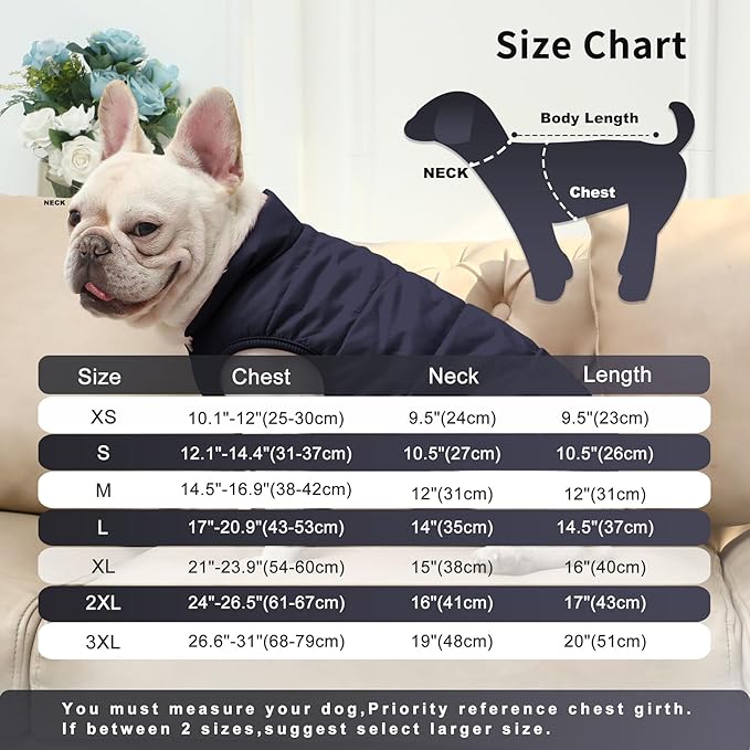 2 Layers Fleece Lined Warm Dog Jacket for Winter Cold Weather,Soft Windproof Medium Dog Coat,Blue L