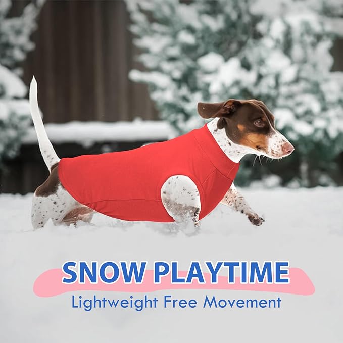 Dog Fleece Vest - Red, M - Pullover Warm Sweater | Stretchable Sweatshirt Small Dogs Boy, Lightweight Winter Jacket Keep Warm, Mini Dachshund,Bichon Frise