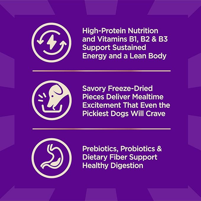 Wellness CORE+ Puppy Dry Dog Food with Freeze Dried Pieces, Grain Free, High Protein, Natural, Chicken & Turkey Recipe, (10-Pound Bag)