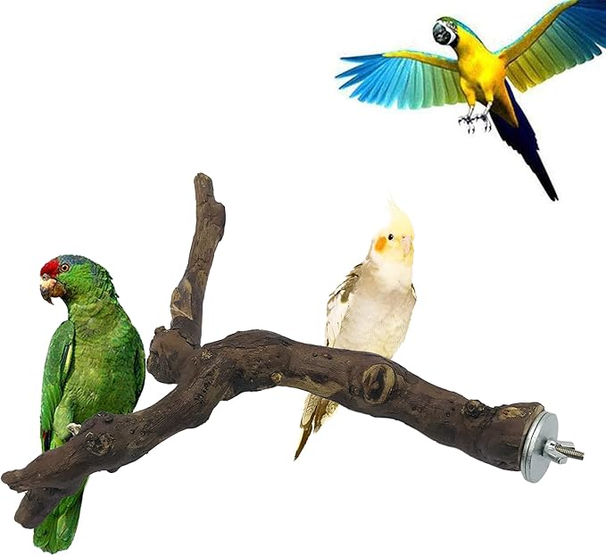 Allazone 2 PCS Natural Grape Stick Fork Bird Perch Bird Standing Stick Chewing Bird Toys Natural Grapevine Bird Cage Perch for Parrot Cages Toy for Cockatiels, Parakeets, Finches