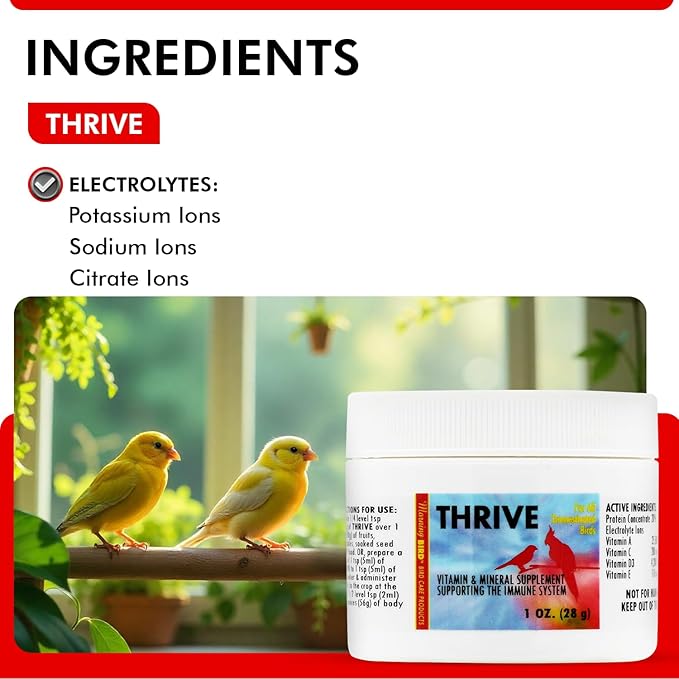 Morning Bird Thrive Nutritious Energy Supplement with Minerals, Vitamins, Amino Acids, Electrolytes, and Protein 1 oz