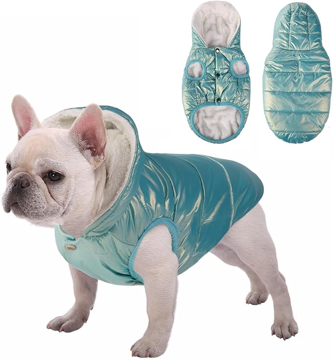 Dog Fleece Hoodie, Windproof Waterproof Dog Coat, Cold Weather Pet Apparel Clothes Vest for Small Medium Large Dog (2XL, Mintgreen)