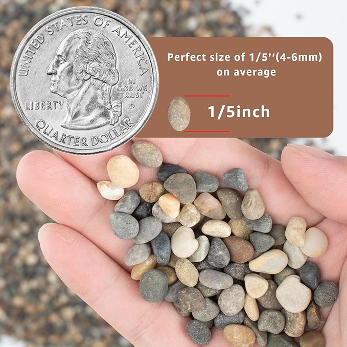 40LB Natural River Rocks, 1/4" Aquarium Gravel, Small Pebbles for Plants, Pea Gravel for Fish Tanks, Decorative Rocks for Gardening, Flower Pots, Vase Fillers, Indoor Fountains (40 LBS)