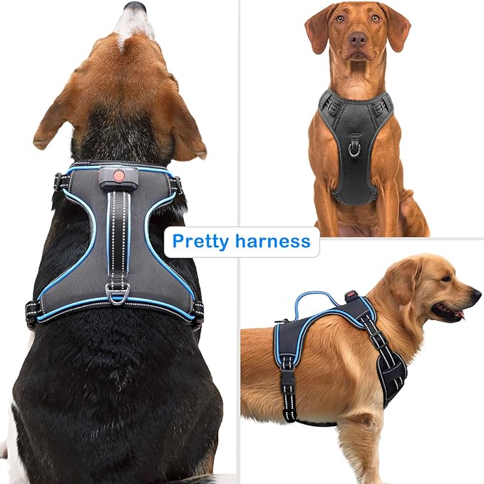 Light Up Dog Harness, No Pull LED Dog Harness with Handle, Rechargeable Lighted Safety Vest for Small Medium Large Dogs, Adjustable Soft Dog Lights for Night Walking