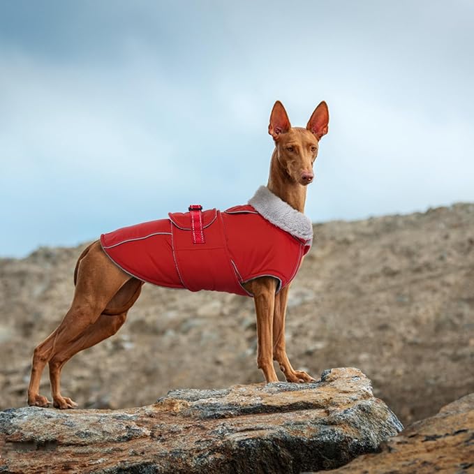 Lelepet Warm Dog Coat - Waterproof Reflective Fleece Vest with Adjustable Buckle Hook & Loop, Windproof Winter Jacket Dog Coats for Small Medium Large Dogs, Red, S