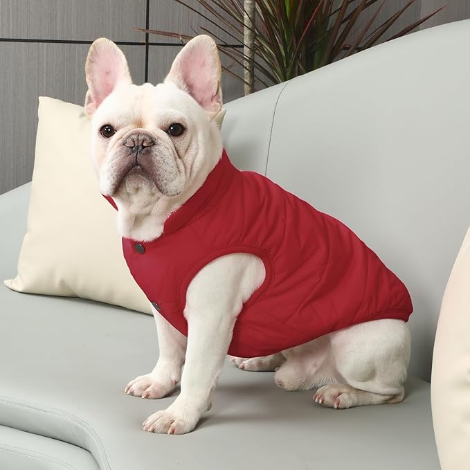 2 Layers Fleece Lined Warm Dog Jacket for Puppy Winter Cold Weather,Soft Windproof Small Dog Coat,Red M