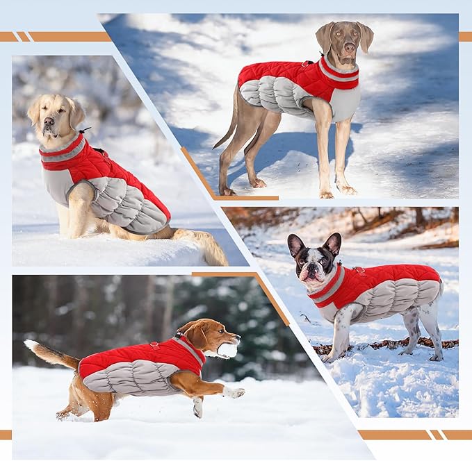 Dog Jackets for Medium Dogs,Medium Dog Coat,Warm Pet Winter Coat Zip Up Back,Waterproof Dogs Jacket with D-Ring,Pet Cold Weather Coats with Fleece Lined, Snowsuit Pug Boston Terrier,Red,M