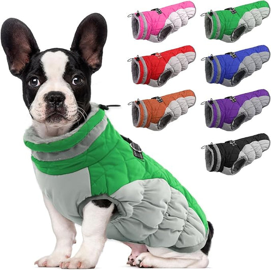 LeLePet Warm Dog Winter Coat, Waterproof, Fleece, Green, X-Small, Turtle Neck, Adjustable, Windproof, for All Breed Sizes