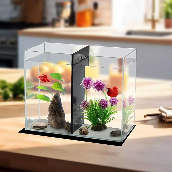 5 Gallon Betta Fish Tank with Divider, Small Aquarium, Fits 2 Bettas, 2.5 Gallon *2 Rooms.(Divider not Removable)