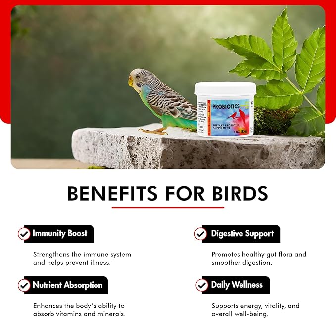Morning Bird Probiotics for Birds 3 oz– Digestive Health Supplement with Supports Gut Balance, Nutrient Absorption & Immune Support – Easy Mix Powder Supplement for All Bird Species