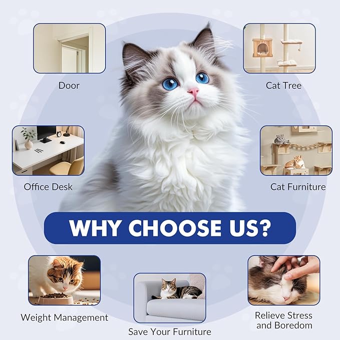 Interactive Cat Toys for Indoor Cats, Automatic Electric Flying Bird Cat Toy, Best Kitten & Adult Cat Enrichment Toy Hanging Electric Kitty Toys for Bored Cats, Light Blue