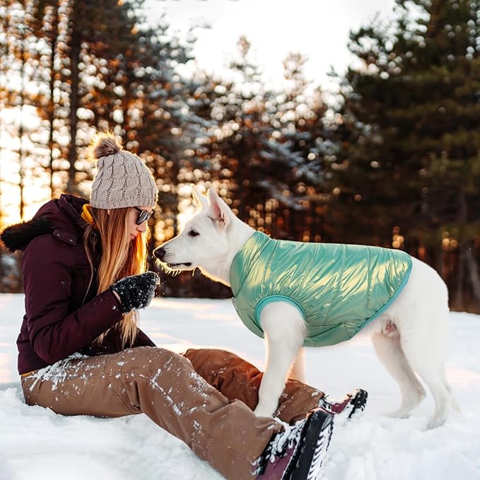 ASENKU Dog Winter Coat - Waterproof Windproof Dog Jacket, Warm Snowproof Doggie Puffer Vest for Cold Weather, Lightweight Snow Coats for Small Medium Large Dogs(Mint Green, XS)