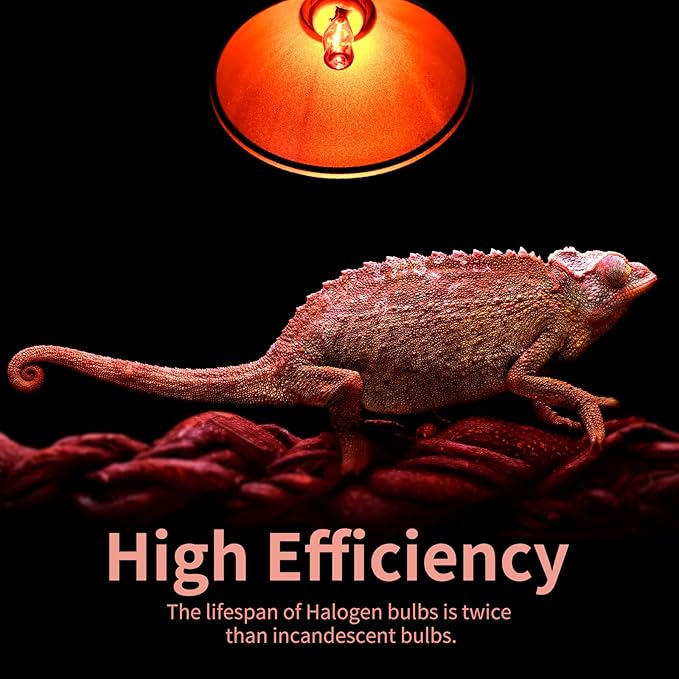 G9 Red Heat Lamp Bulbs for Reptiles 50W 4Pack,Mini Night Halogen Light Bulbs,Dimmable Infrared Heat Light for Tortoise,Turtle,Gecko,Bearded Dragon,Lizard Tank