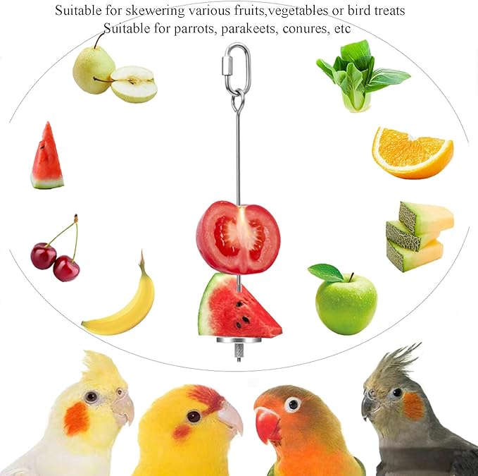 2pcs Hanging Bird Treat Skewer Parrot Fruit Feeder, 13 Inch Stainless Steel Bird Food Holder Parrot Fruit Food Skewer with Washer Nut Parakeet Treat Holder Feeder for Parrot Budgie Conure, LXLVOUEG