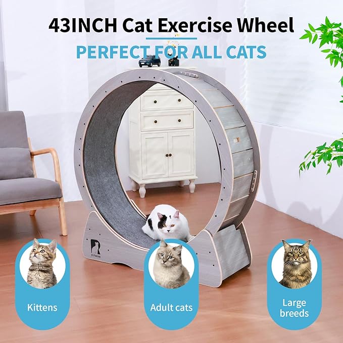 43 Inch Large Cat Exercise Wheel for Indoor Cats, Silent Treadmill, Non-Tip Design, Safe & Quiet Cat Running Wheel, Easy to Assemble, Supports Cats Up to 55 lbs (Grey)