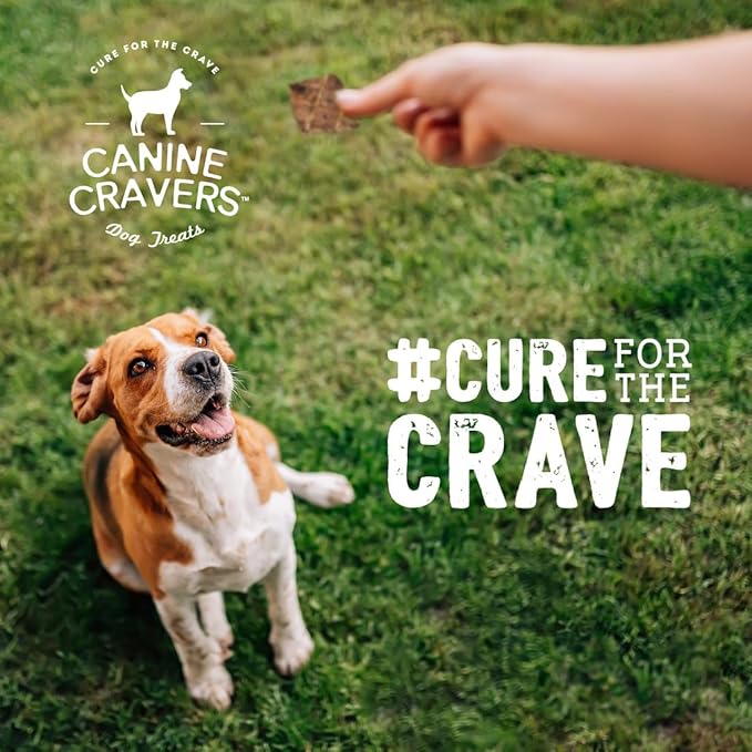 Canine Cravers Single Ingredient Dog Treats – Premium Lamb Fillets - Human Grade Air Dried Hypoallergenic Pet Food – Grain, Gluten, and Soy Free – 100% All Natural – 5.3 oz