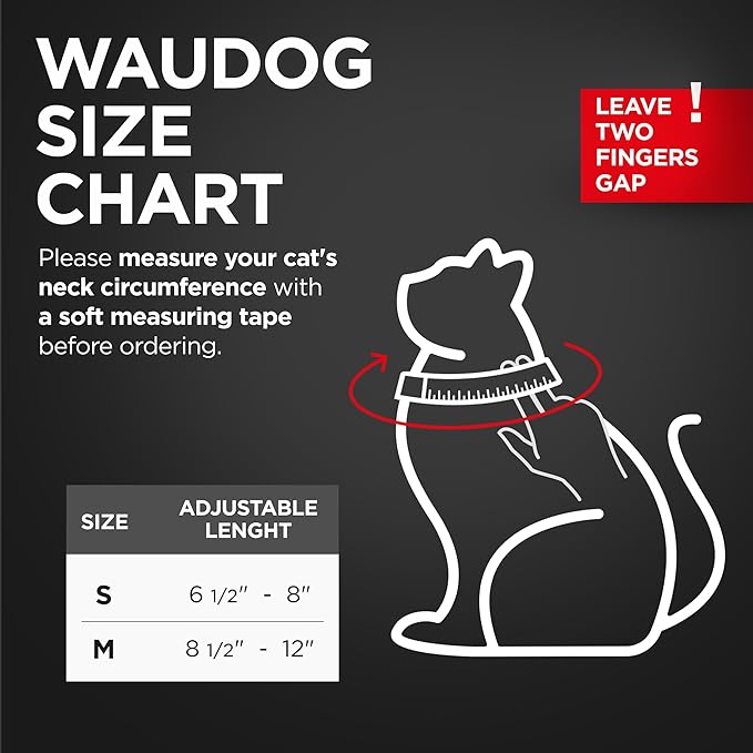 Leather Cat Collar with Bell & Elastic Strap - Pet Collar Leather - Leather Kitten Collar - Cats Small and Big Cat Collar for Boy Cats, Girl Cats with Safety Elastic Strap (Gray, 6" - 8")