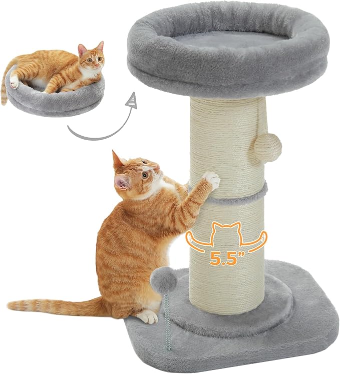 PEQULTI Cat Scratching Post, Tall Cat Scratcher for Indoor Cats with Super Thick Scratching Post [Dia=5.5''], Removable Fluffy Bed, Cat Scratch Post with Spring Ball, Grey