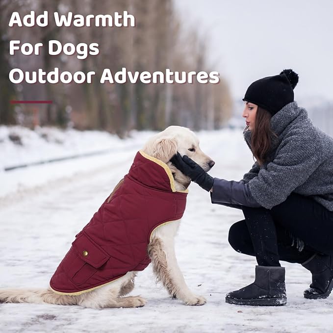 Queenmore Dog Winter Coat Warm Puffer Jacket Waterproof Plush Lining Thermal Cold Weather Vest for Small Medium Large Dogs, Windproof Easy On Pet Jacket Burgundy S