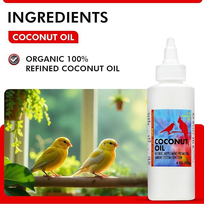 Morning Bird Coconut Oil for Birds 4 oz – Supports Immunity & Digestion – Boosts Energy & Feather Health – Easy to Mix with Food Pure Cold Pressed Formula – Safe for All Bird Life Stages